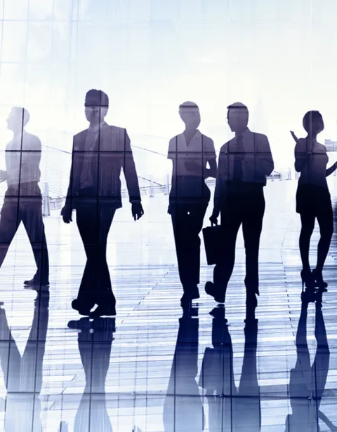 Colaboradores sociales